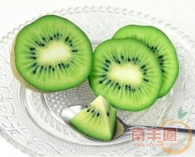 猕猴桃.jpg