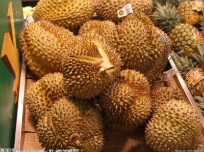 榴莲.jpg