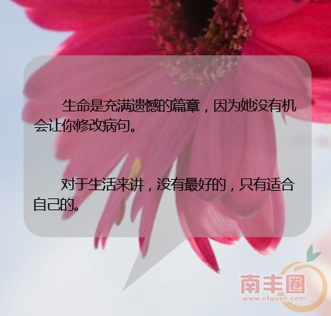 2000 (13)_副本.jpg