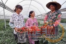 20140715180536_5815 (1).jpg