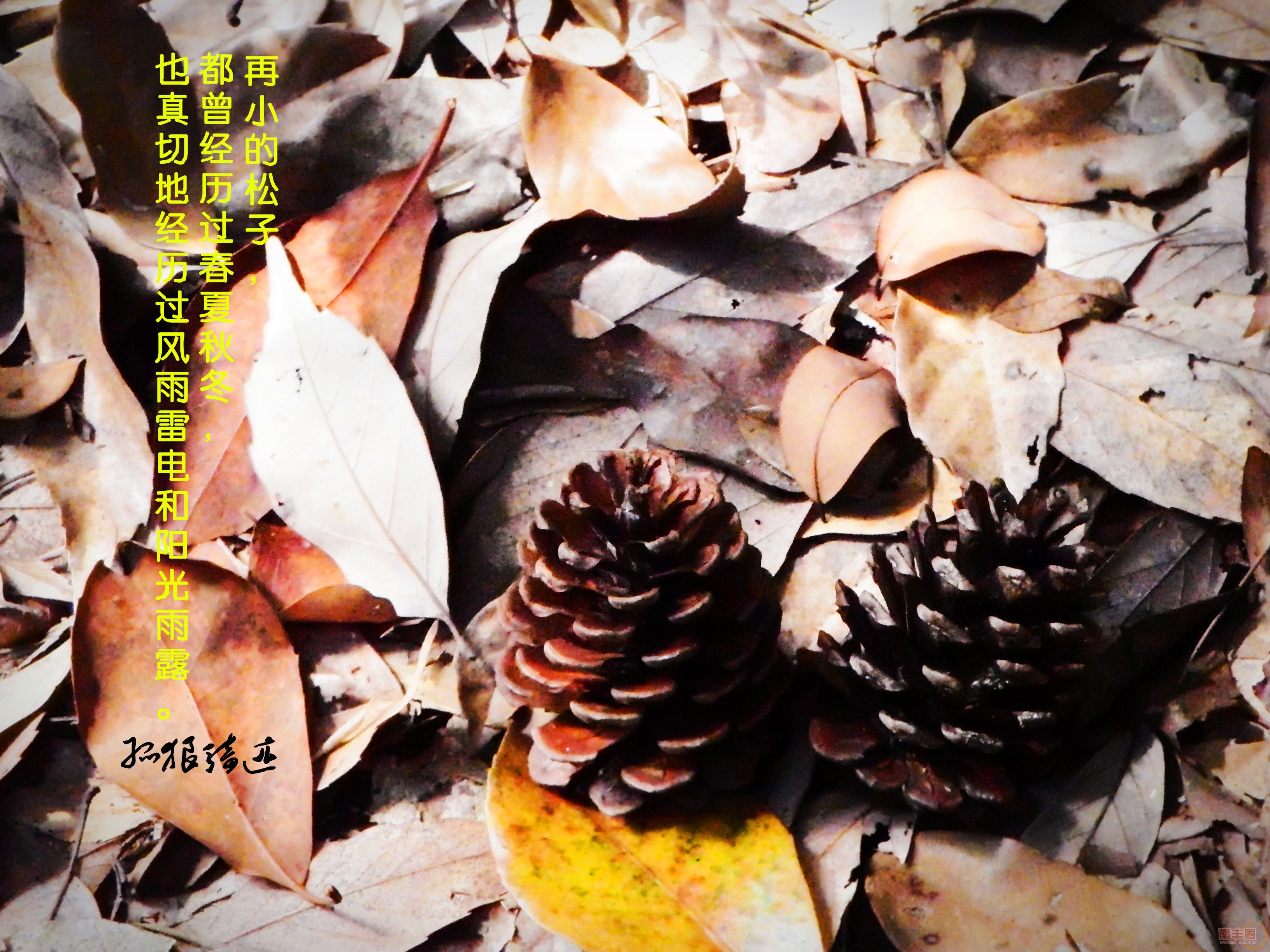 照片 349_副本.jpg