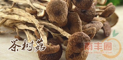 茶树菇.jpg