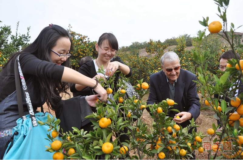 桔园游.jpg
