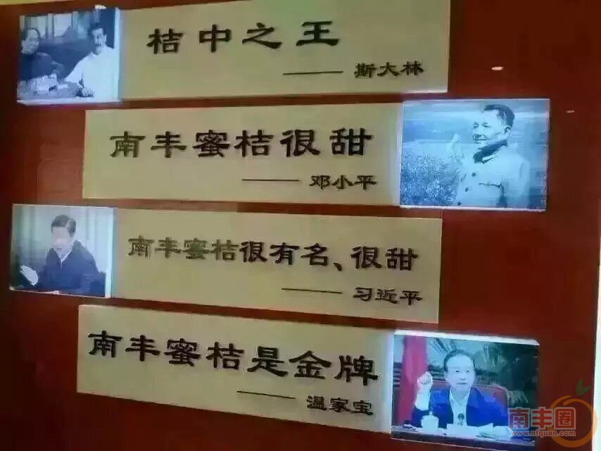 桔子的表扬.jpg