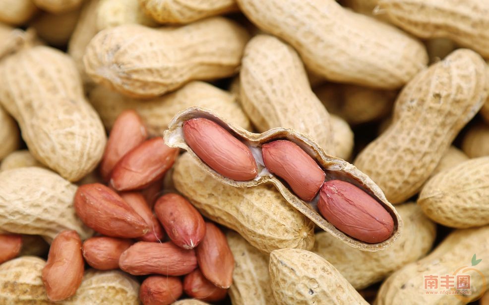 花生.jpg