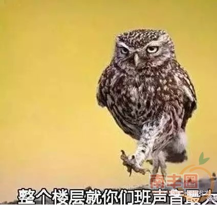 640 (1).webp (3).jpg