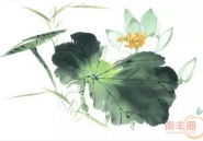 夏天来了！从现在开始南丰将被这片花海包围！