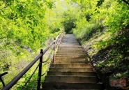 【春暖花开】一起来南丰看风景吧